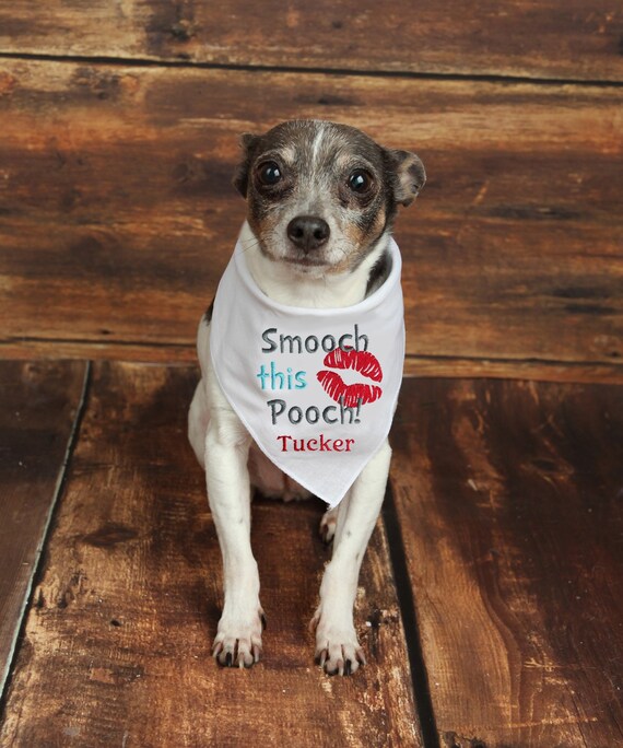 Monogrammed dog clothes cheap