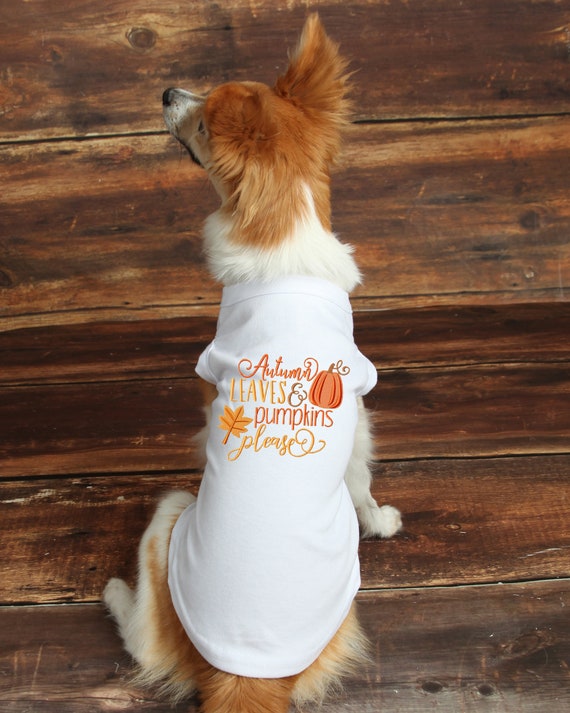 Fall clearance dog clothes