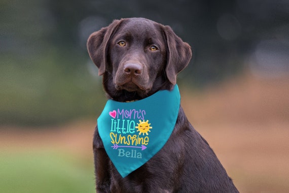 Dog top neck handkerchief
