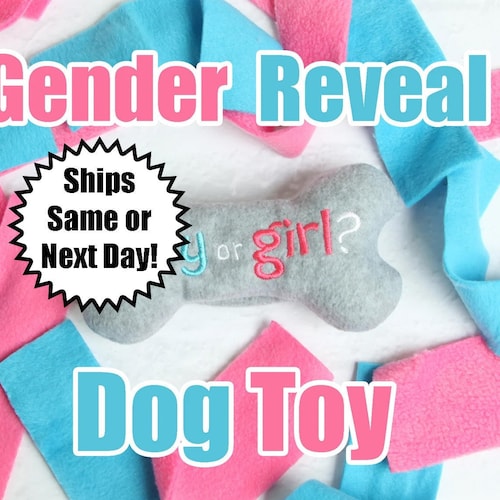 Gender Reveal Dog Toy Pink or Blue Stuffing Dog Toy Dog Etsy