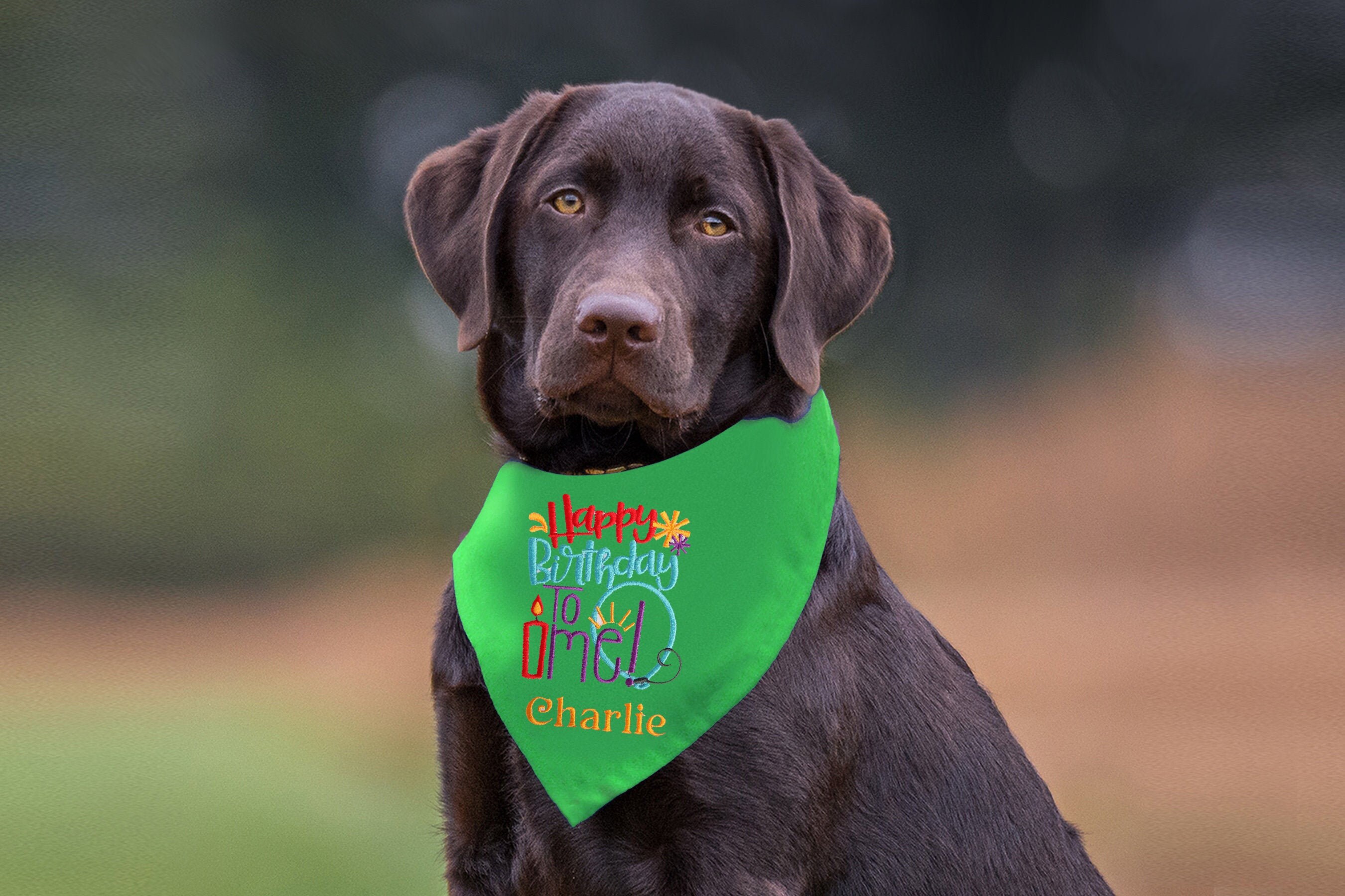Birthday Dog Bandana Dog Happy Birthday to Me Bandana Custom Etsy