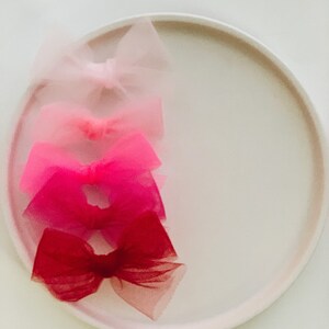 Pink & Red Tulle Piggy Sets image 5