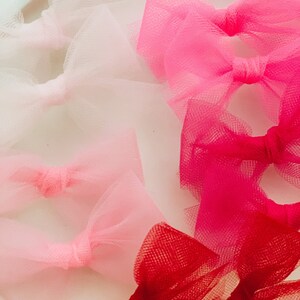 Pink & Red Tulle Piggy Sets image 4