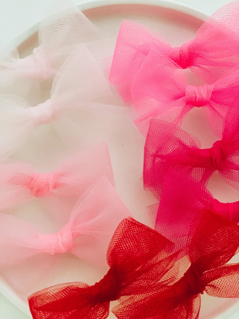 Pink & Red Tulle Piggy Sets image 4