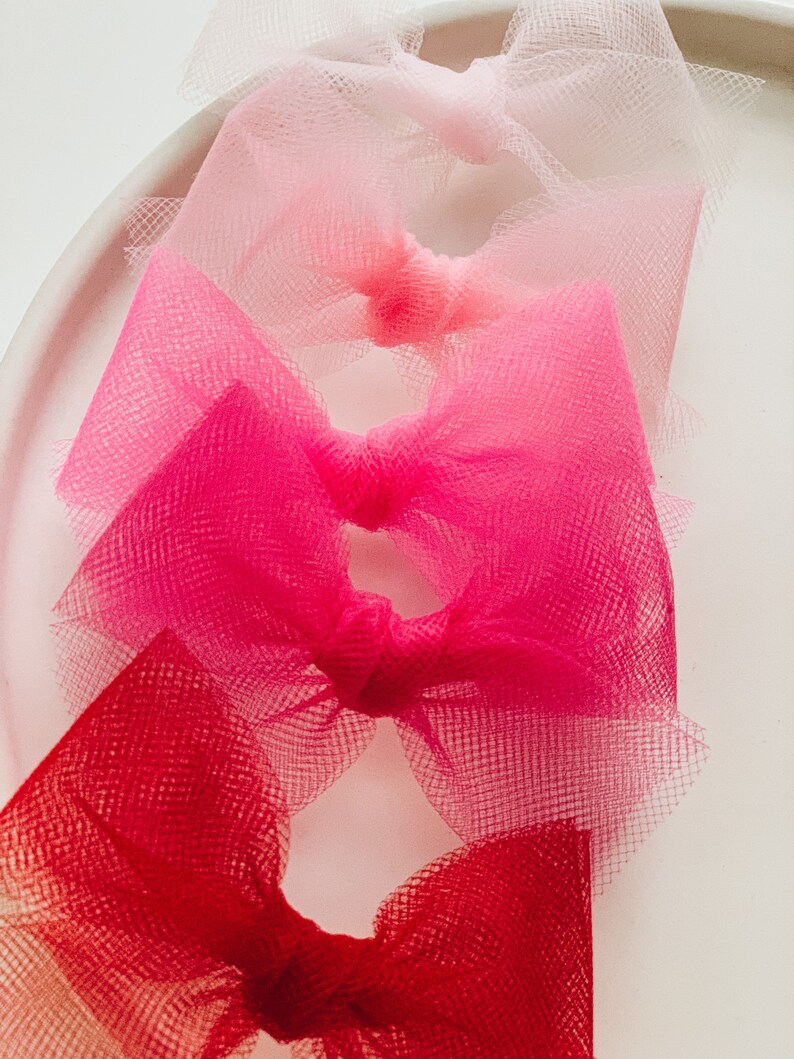 Pink & Red Tulle Piggy Sets image 2