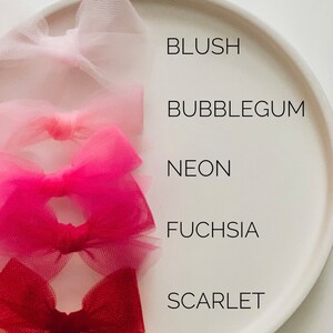 Pink & Red Tulle Piggy Sets image 3