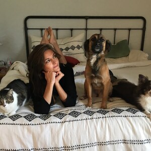 May include: A woman lies on a bed with a cat and two dogs. The woman is wearing a black shirt and has long brown hair. The cat is white and gray and is sitting on the bed. The dogs are both brown and white and are sitting on the bed. The bed has a white and black patterned comforter.