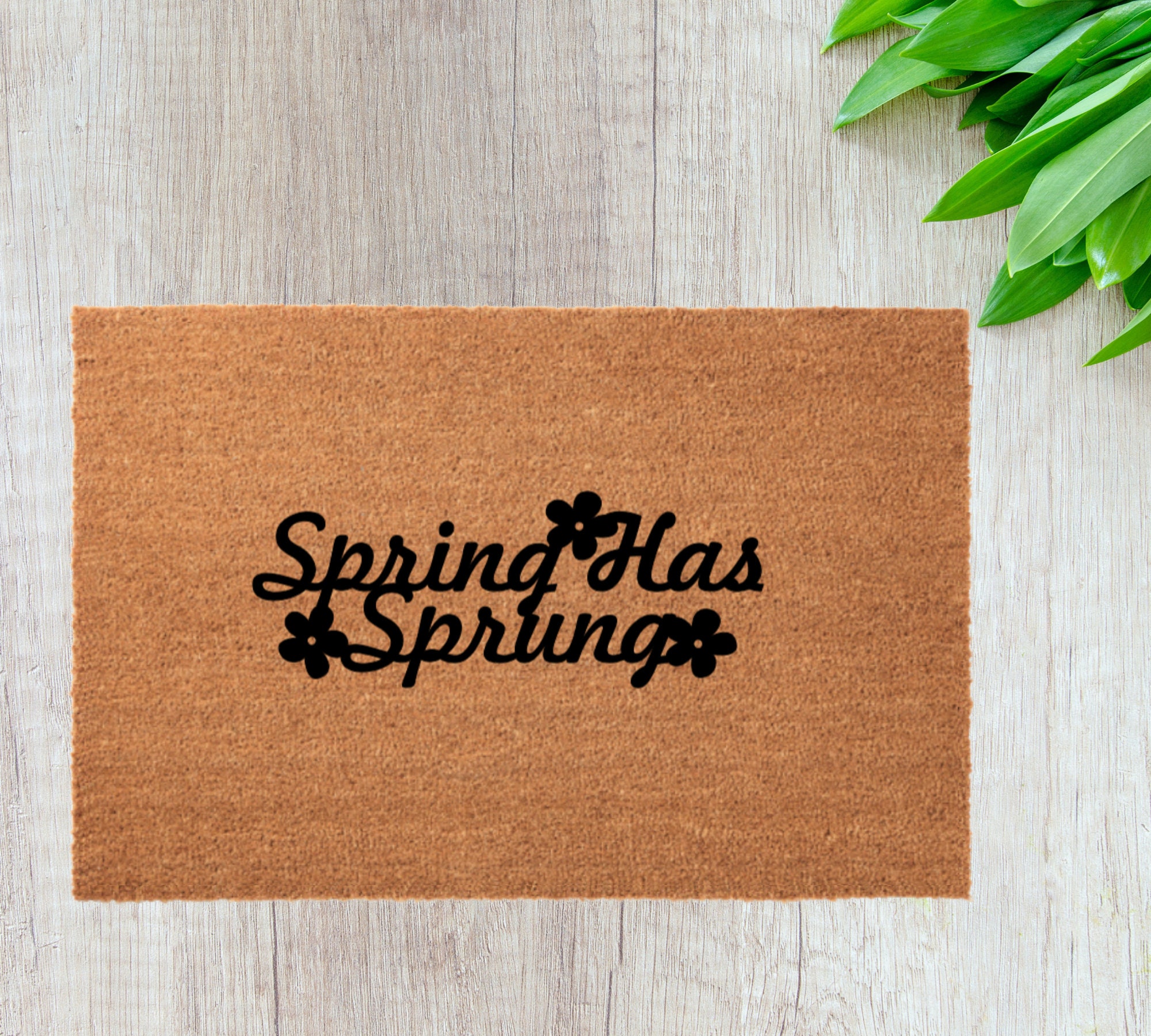 Spring Has Sprung Doormat Spring Doormat Home Mat Etsy UK
