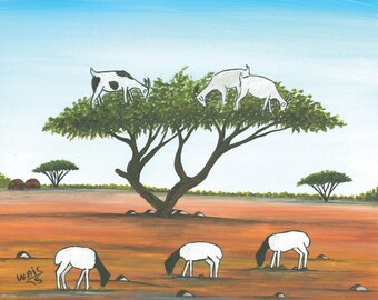 Djibouti goats in trees