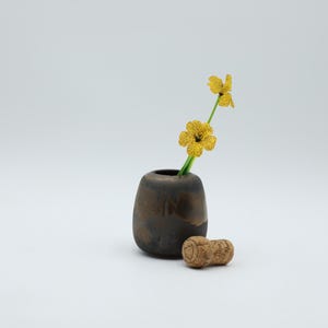 May include: A small, dark brown ceramic vase holds a sprig of yellow flowers. A cork stopper rests beside the vase. The vase has a rounded shape and a smooth, glossy finish. The flowers have a delicate, textured appearance.