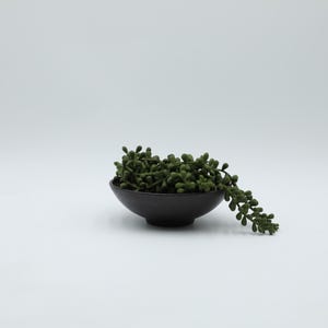 May include: A small, dark gray bowl filled with a green, cascading succulent plant. The plant has small, round, bead-like leaves. The bowl is centered on a white background, creating a minimalist aesthetic.
