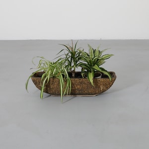 May include: A brown, oblong planter filled with several green plants. The planter has a textured surface and is made of a natural material. The plants have varying shades of green and different leaf shapes, creating a visually appealing arrangement.