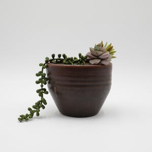 May include: A small, brown ceramic pot with a textured surface, filled with a succulent and trailing green plant. The pot is set against a white background, showcasing the plant's details.