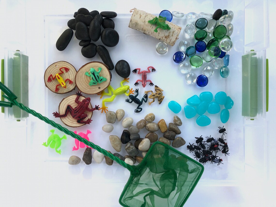 Frog Sensory Kit Sensory Box Sensory Bin Sensory Play Etsy Ireland