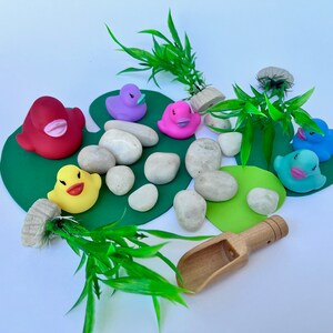 5 Little Ducks Sensory Kit, Five Ducks Sensory Box, Ducklings Sensory ...