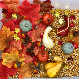 Autumn Sensory Kit, Sensory Box, Sensory Bin, Gift for Preschooler, Pretend Play, Busy Box, Open Ended Play, Light Up Your Senses, Preschool