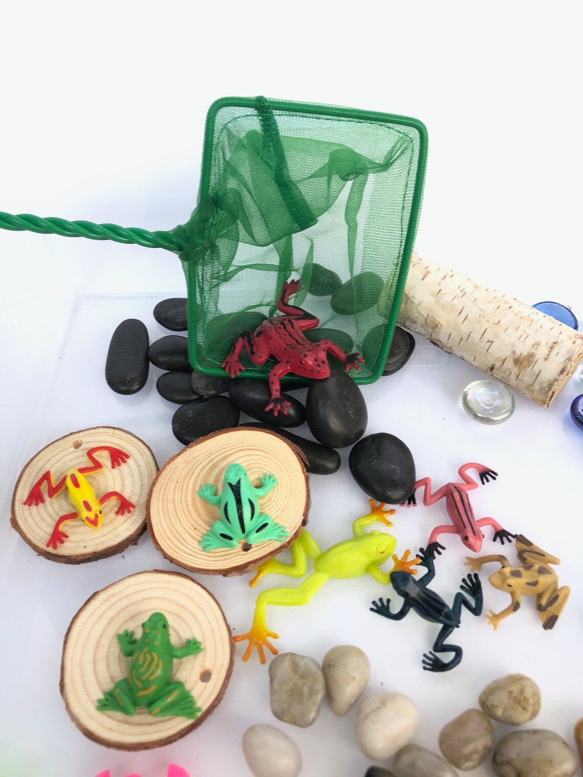 Frog Sensory Kit Sensory Box Sensory Bin Sensory Play Etsy Ireland