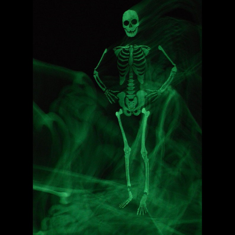 Glow in the Dark Skeleton Costume for Halloween Full Body Etsy