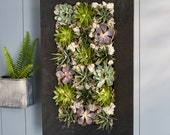 Black Zinc Living Wall Galvanized Steel Zinc Succulent Planter, Wall Mounted Garden Pocket Planter - 3 Sizes
