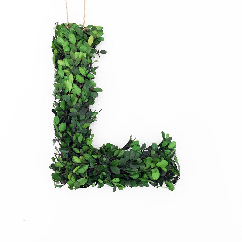 12 Real Preserved Boxwood Monogram Wreath Letters Etsy