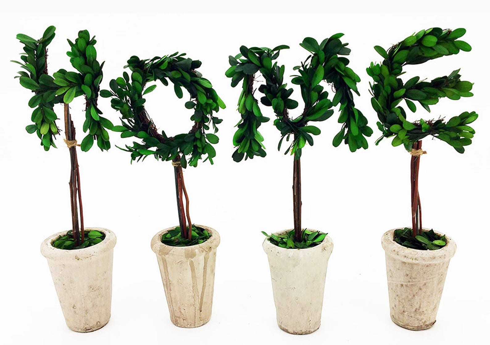 Real Preserved Boxwood Monogram Letters 13 W/terra Cotta Etsy