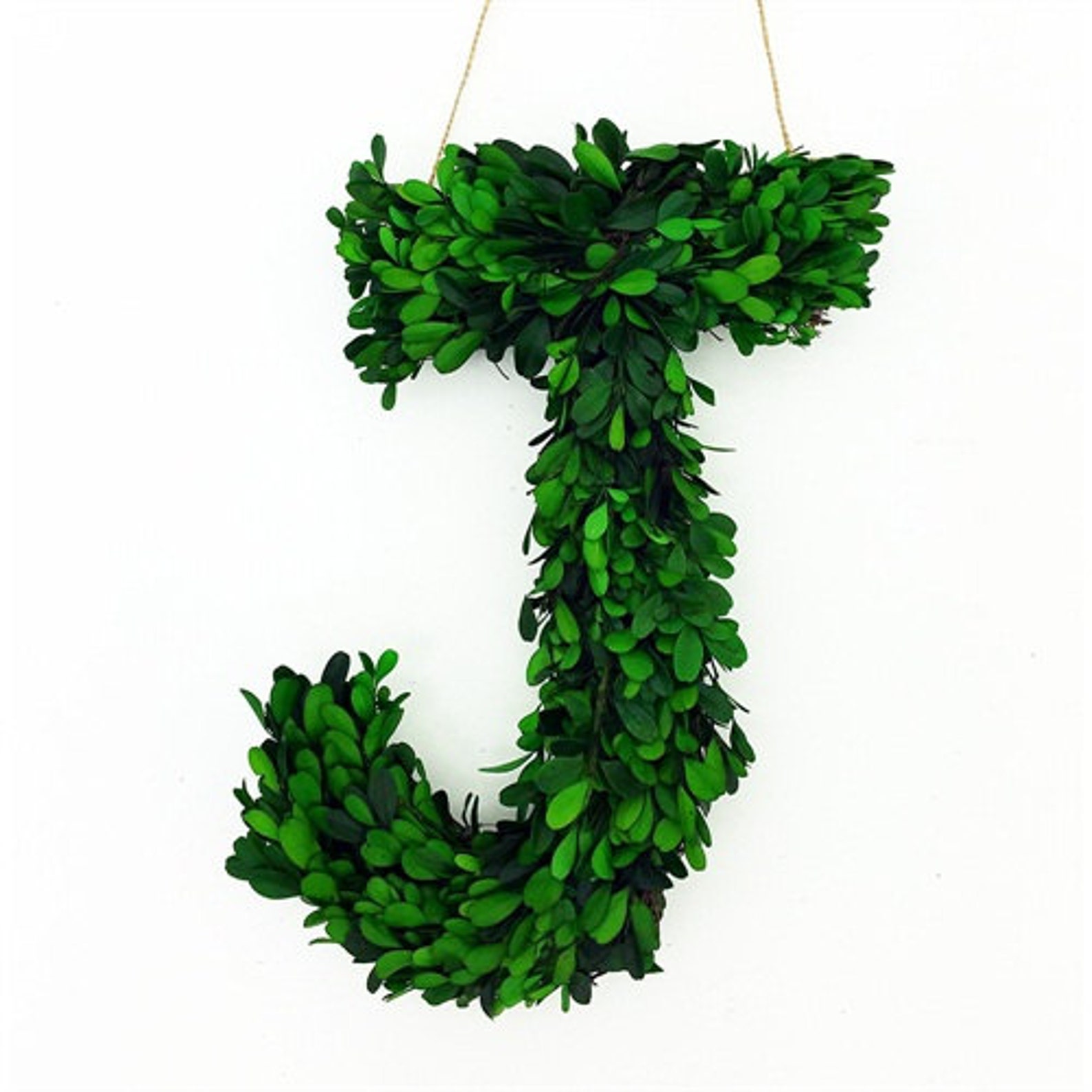 12 Real Preserved Boxwood Monogram Wreath Letters Etsy