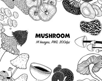 Mushroom Fungi Fungus - Instant Download - Digital Clip Art Digi Stamps