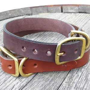 1 &quot;Heritage Leder Hundehalsband mit Massivem Messing Hardware