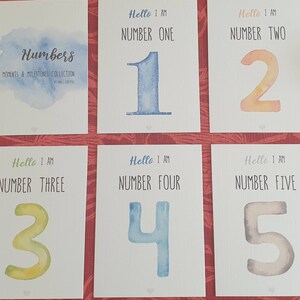 Numbers Learning developmental 1-10 Flashcards