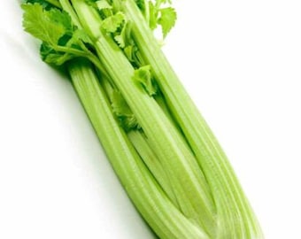 2000+Celery Seeds Tall Utah Celery Seeds Heirloom Crisp Tender Texture Fresh