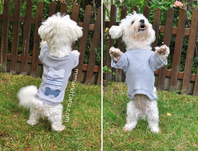 Dog Sweater Pattern Bundle All Sizes, Dog Clothes, Dog Clothes Pattern, Sewing Pattern, Tshirt For Dog, Dog Sweaters image 3