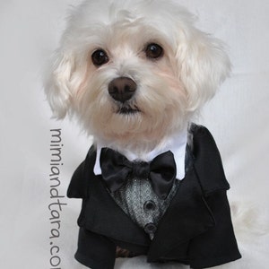 Dog Tuxedo Sewing Pattern: DIY Pet Clothes, Size L (PDF Pattern)