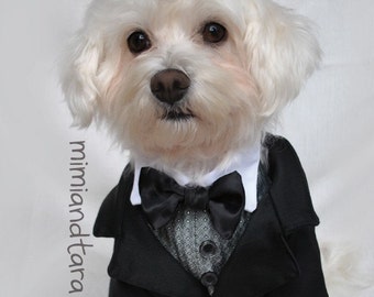 Dog Tuxedo Pattern size S, Dog Clothes, Dog Clothes Pattern, Sewing Pattern