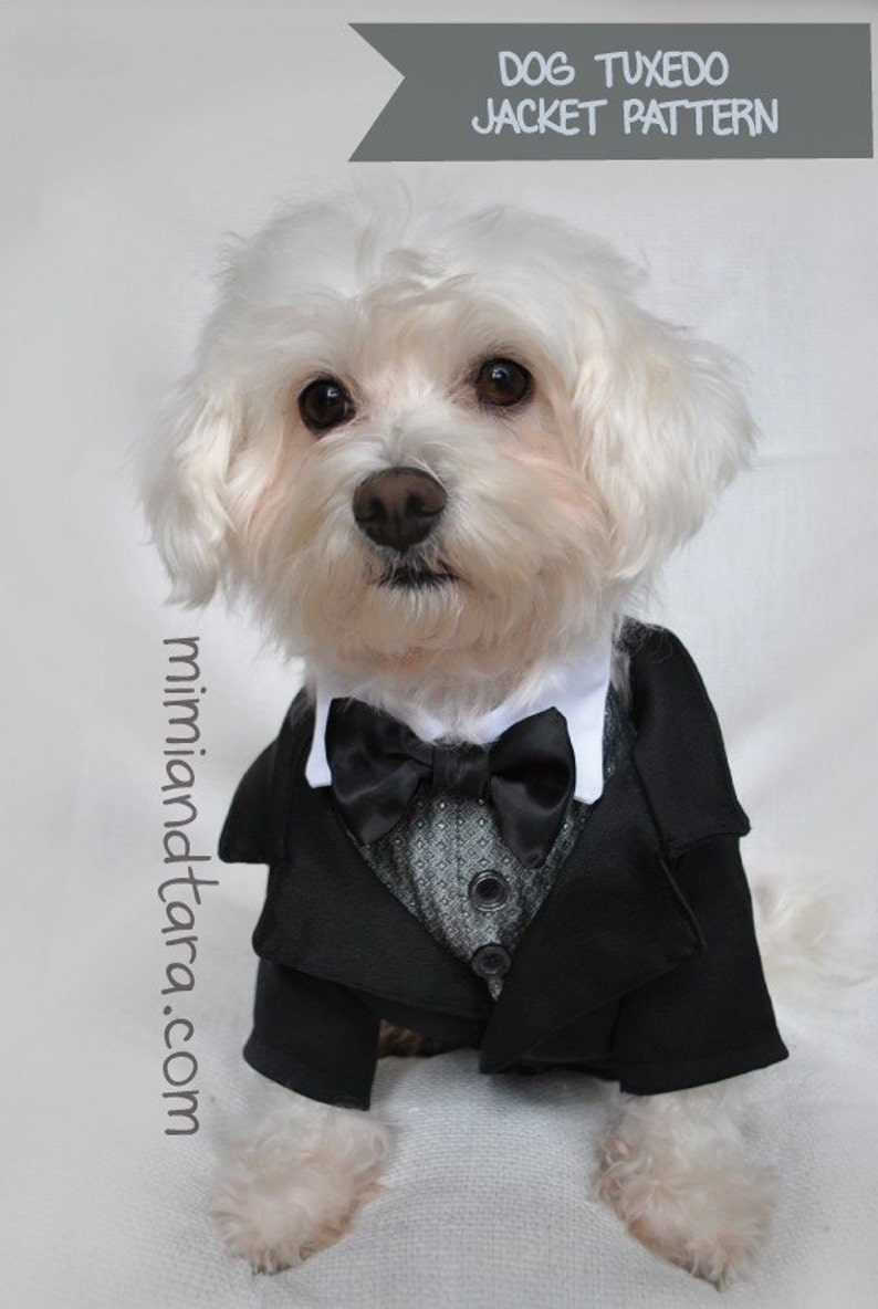 Dog Tuxedo Pattern Size L, Dog Clothes, Dog Clothing Pattern, Dog Tuxedo, Sewing Pattern image 1