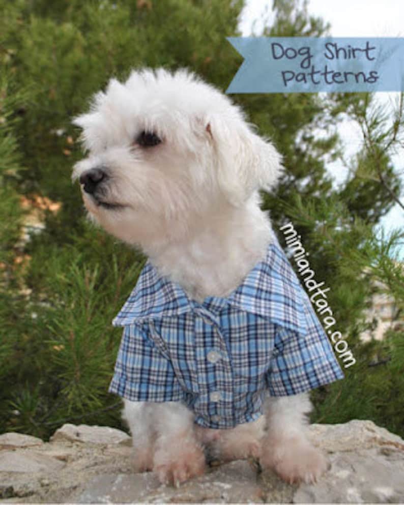 Dog Shirt Pattern size M, Dog Clothes, Sewing Pattern, Dog Shirts image 1