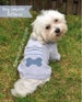 Dog Tshirt Pattern Size M, Dog Clothes, Dog Clothes Pattern, Sewing Pattern, Tshirt For Dog, Dog Sweaters 