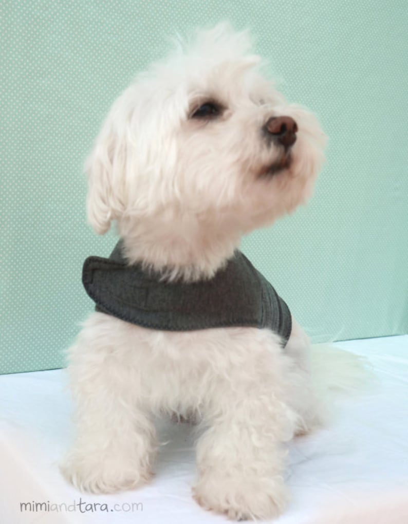 Dog Calming Vest Pattern BUNDLE ALL SIZES, Dog Vest Pattern, Anxiety Vest, Calming Vest, Sewing Pattern, Dog Clothes Patterns image 5