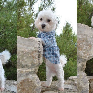 Dog Shirt Pattern size M, Dog Clothes, Sewing Pattern, Dog Shirts imagem 3