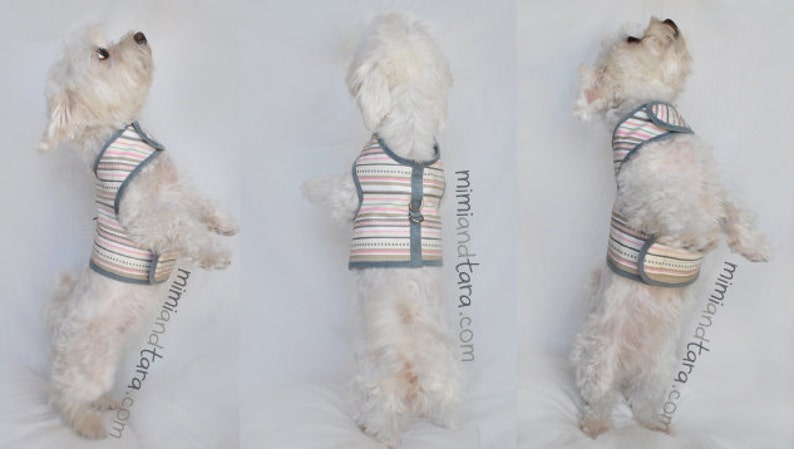 May include: A white dog wearing a pink and grey striped dog harness with a grey buckle. The harness has a white trim. The dog is standing on its hind legs and looking up. The text "mimiandetara.com" is visible on the right side of the image.