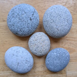 Smooth Granite Beach Stones • Round Oval • Natural Decor Crafts Knobs • Genuine Maine Ocean Rocks