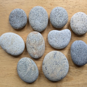 May include: A collection of ten smooth, oval-shaped stones in various shades of gray, brown, and white. The stones have a natural, textured surface.