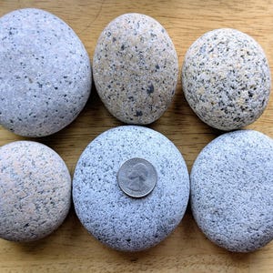 May include: Six smooth, rounded stones in shades of gray and tan are arranged on a wooden surface. One stone has a quarter coin on top for size comparison. The stones vary in size and texture, with speckled and solid patterns.