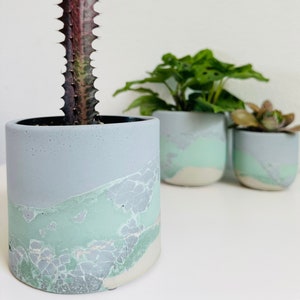 Shallows Planter SMALL | Ocean Collection | Layered Concrete Planter | Tulip Shaped Plant Pot | Minimalist Planter | Indoor Planter