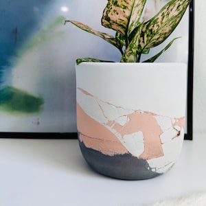 May include: A pink and green houseplant in a white, pink, and gray concrete planter with a crackled finish.