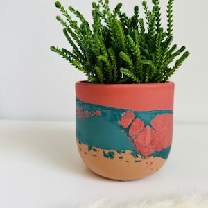 May include: A small green plant in a decorative ceramic pot. The pot is a rounded shape with a color block design. The top is a reddish-orange, the middle is teal, and the bottom is tan. The plant has many small, green, upright stems.