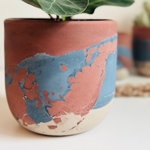 May include: A terracotta planter with a blue and white crackle glaze. The planter is filled with a green plant with large leaves.