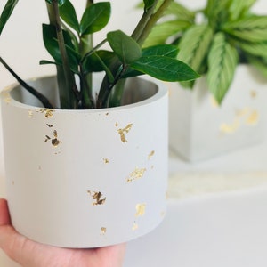 Delicate Planter | Gold Flakes | Layered Concrete Planter | Minimalist Planter | Indoor Planter
