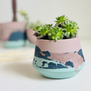 Belong to Me Planter | Wonderland Collection | Layered Concrete Planter | Tulip Shaped Plant Pot | Minimalist Planter | Indoor Planter