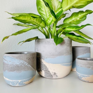 May include: Four concrete planters in various sizes with a light blue, gray, and beige marbled design. A green leafy plant is growing in the largest planter.