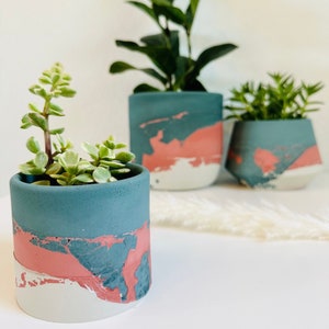 May include: Three concrete planters in varying sizes, each with a unique color scheme. The planters feature a teal, coral, and white color palette. The planters hold green plants, showcasing a modern and artistic aesthetic.